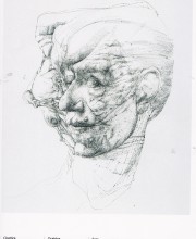 Cicatrice, 2008